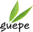 GUEPE logo GUEPE logo