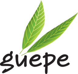 GUEPE GUEPE