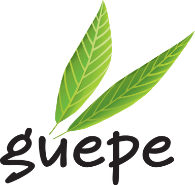 GUEPE logo GUEPE logo
